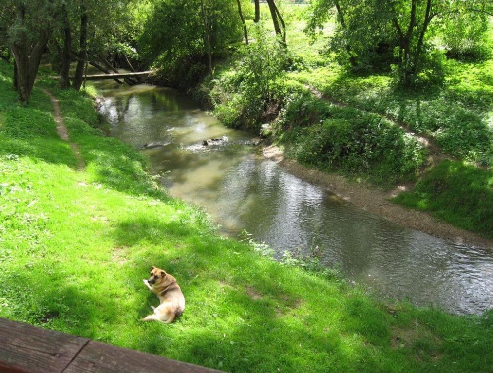 Malom Tanya Panzio Hotel Zalacséb Buitenkant foto